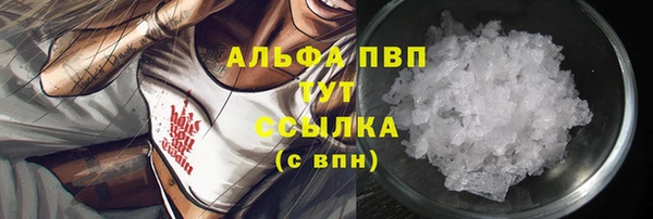стафф Богородск