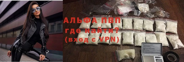 стафф Богородск