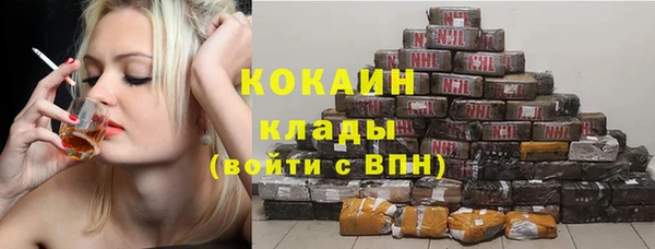 стаф Богданович