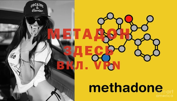 стаф Богданович