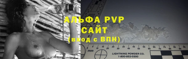стаф Богданович