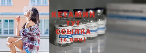 стаф Богданович