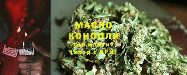 стаф Богданович