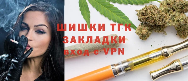 стаф Богданович