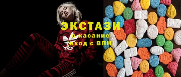 стаф Богданович