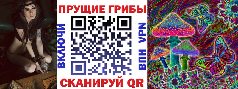 купить  цена  Донской  Галлюциногенные грибы Psilocybe 