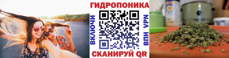 МАРИХУАНА SATIVA & INDICA купить наркотики цена ОМГ ОМГ онион Донской